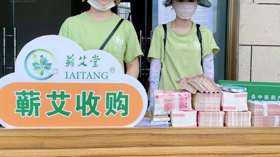 2023蘄艾收購(gòu)丨蘄艾堂上門進(jìn)村 ?應(yīng)收盡收·片片歸倉(cāng) 2023蘄艾收購(gòu)丨蘄艾堂上門進(jìn)村 ?應(yīng)收盡收·片片歸倉(cāng)