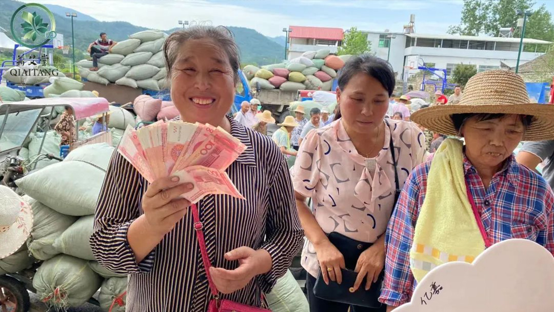 2023蘄艾收購(gòu)丨蘄艾堂上門進(jìn)村 ?應(yīng)收盡收·片片歸倉(cāng) 2023蘄艾收購(gòu)丨蘄艾堂上門進(jìn)村 ?應(yīng)收盡收·片片歸倉(cāng)
