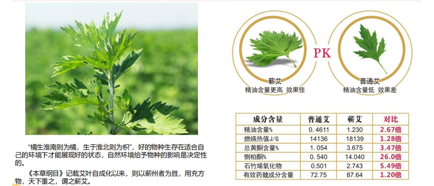 全產(chǎn)業(yè)鏈
