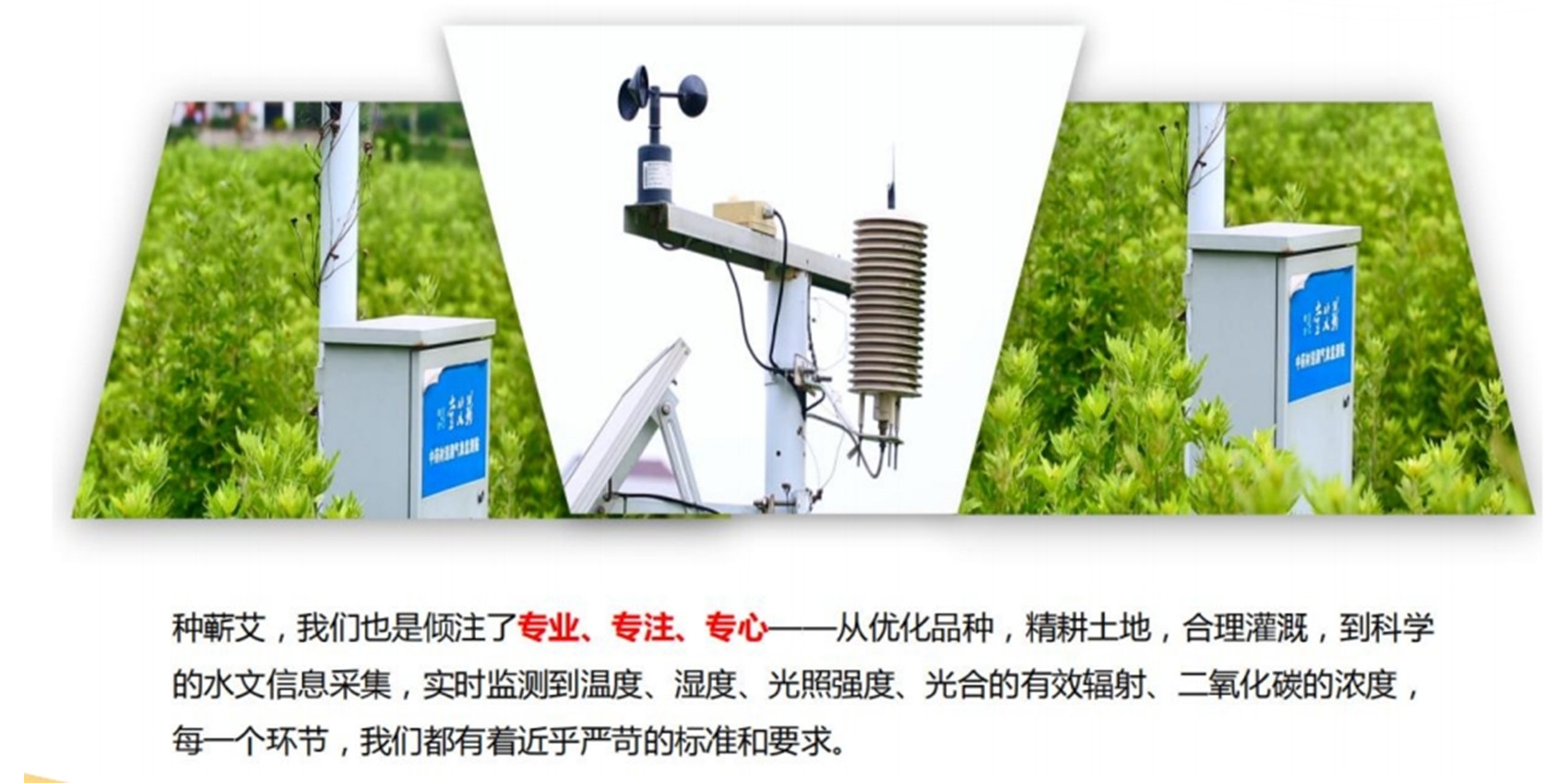 全產(chǎn)業(yè)鏈