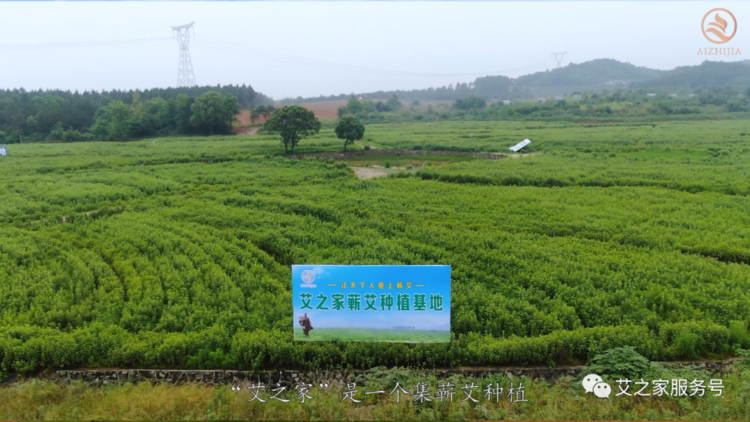 官宣丨艾之家企業(yè)簡介 官宣丨艾之家企業(yè)簡介