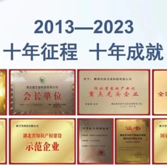 致敬十年·為艾奔赴 蘄艾堂十周年盛典暨艾之家創(chuàng)富峰會